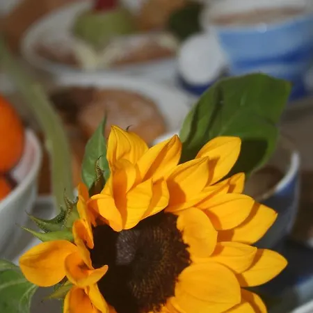 Bed & Breakfast Hello World 3*